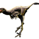 Illustration for article titled Recently discovered species of raptor validates the fears of anyone who ever watched emJurassic Park/em